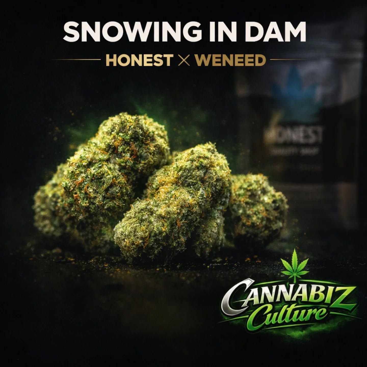 SNOWING IN DAM