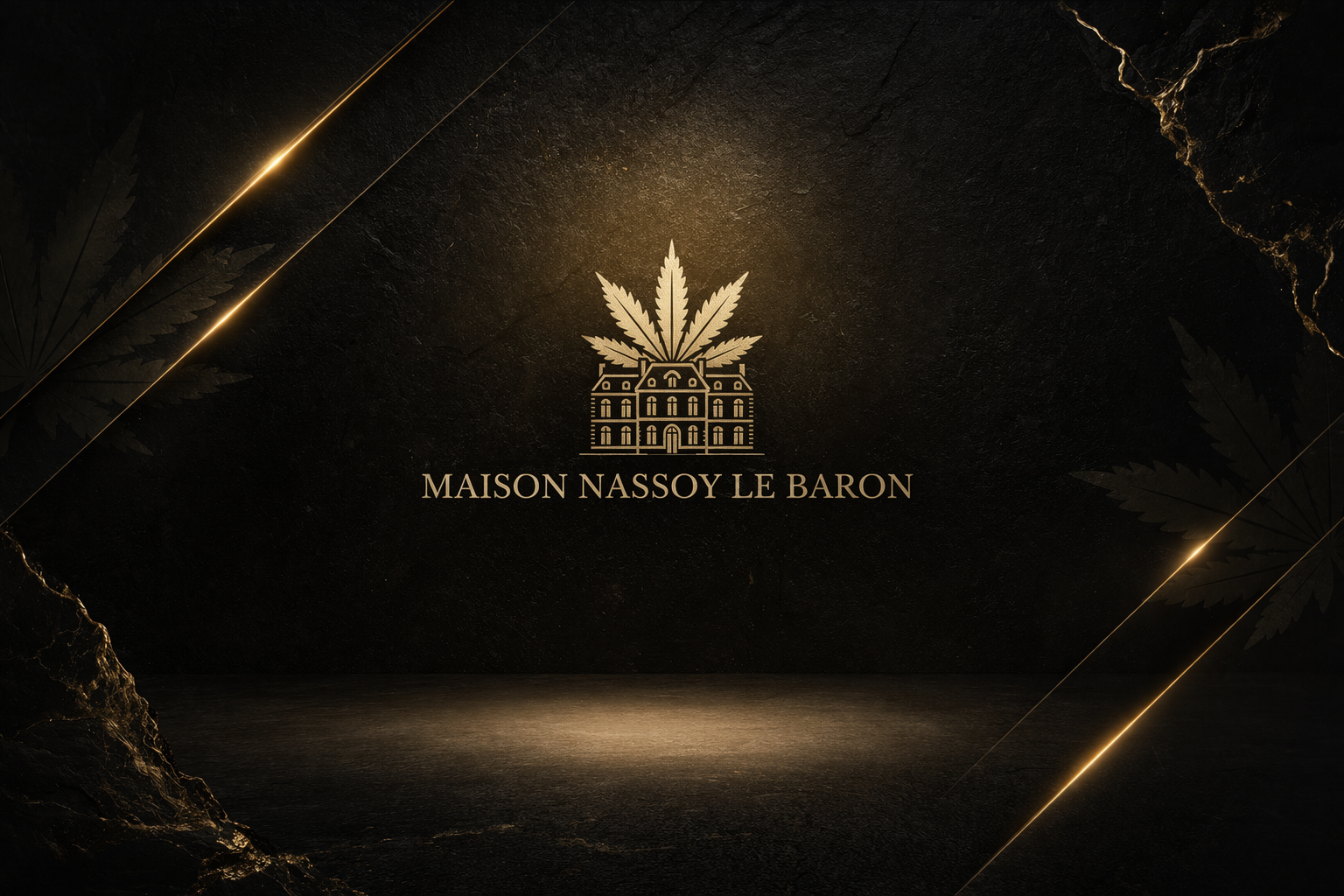 Maison Nassoy le Baron